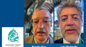 ABPI entrevista representante do governo de transição na COP-15